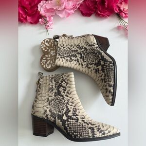 Franco Sarto Black and Cream Ankle Booties